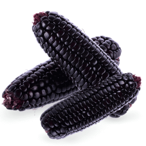 Maíz morado Peruano x 1 Kg