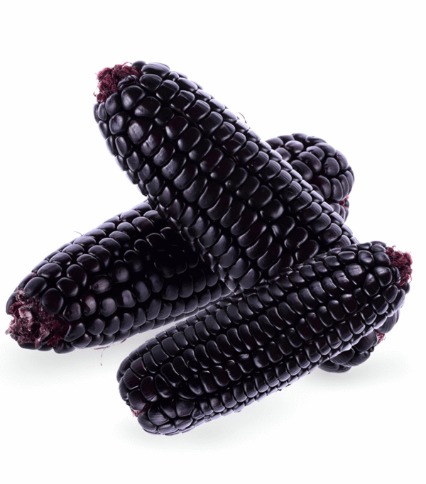 Maíz morado Peruano x 1 Kg