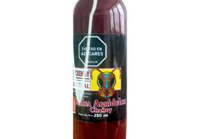 chamoy original x 250 ml